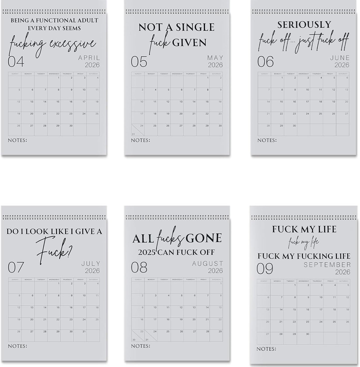 🗓️ "F*ck 2026's Stress:🔥Fuck It 2026 Spiral Bound Wall Calender