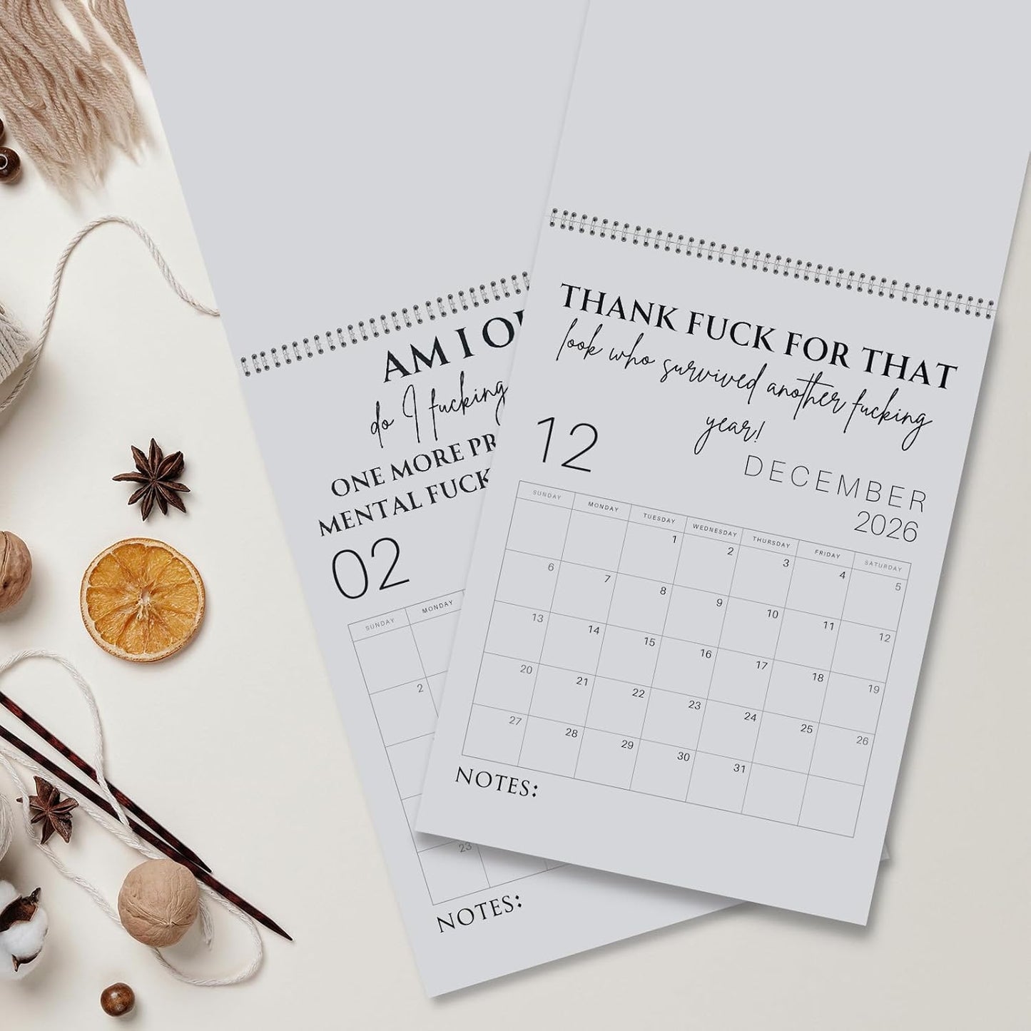 🗓️ "F*ck 2026's Stress:🔥Fuck It 2026 Spiral Bound Wall Calender