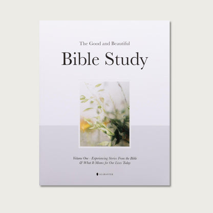 Alabaster Vol 1: Bible Study & Daily Prayers❤