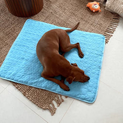 🔥Limited Time Promotion🧊Dog Cooling Mat (4x more effective)