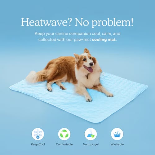 🔥Limited Time Promotion🧊Dog Cooling Mat (4x more effective)