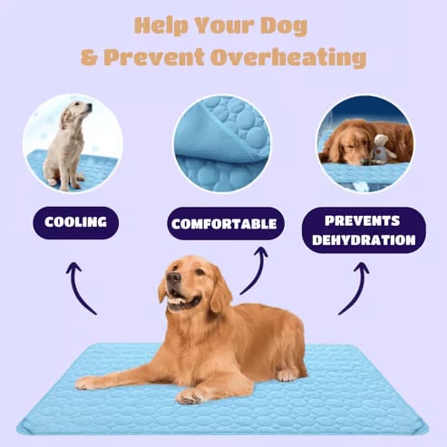🔥Limited Time Promotion🧊Dog Cooling Mat (4x more effective)