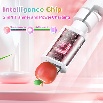 🎁Summer Promotion🌈Colorful charger cable⚡
