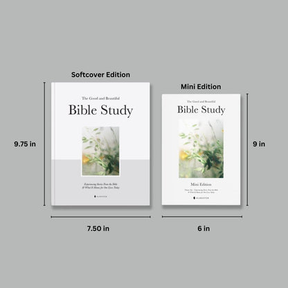 Alabaster Vol 1: Bible Study & Daily Prayers❤