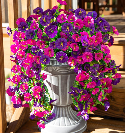 🍂LAST DAY 49% OFF-UV Resistant Hanging Morning Glory for Fall Decor