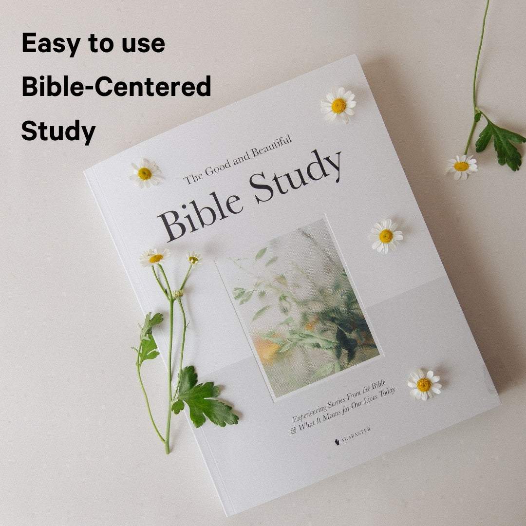 Alabaster Vol 1: Bible Study & Daily Prayers❤