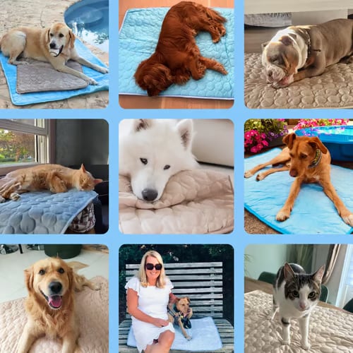 🔥Limited Time Promotion🧊Dog Cooling Mat (4x more effective)