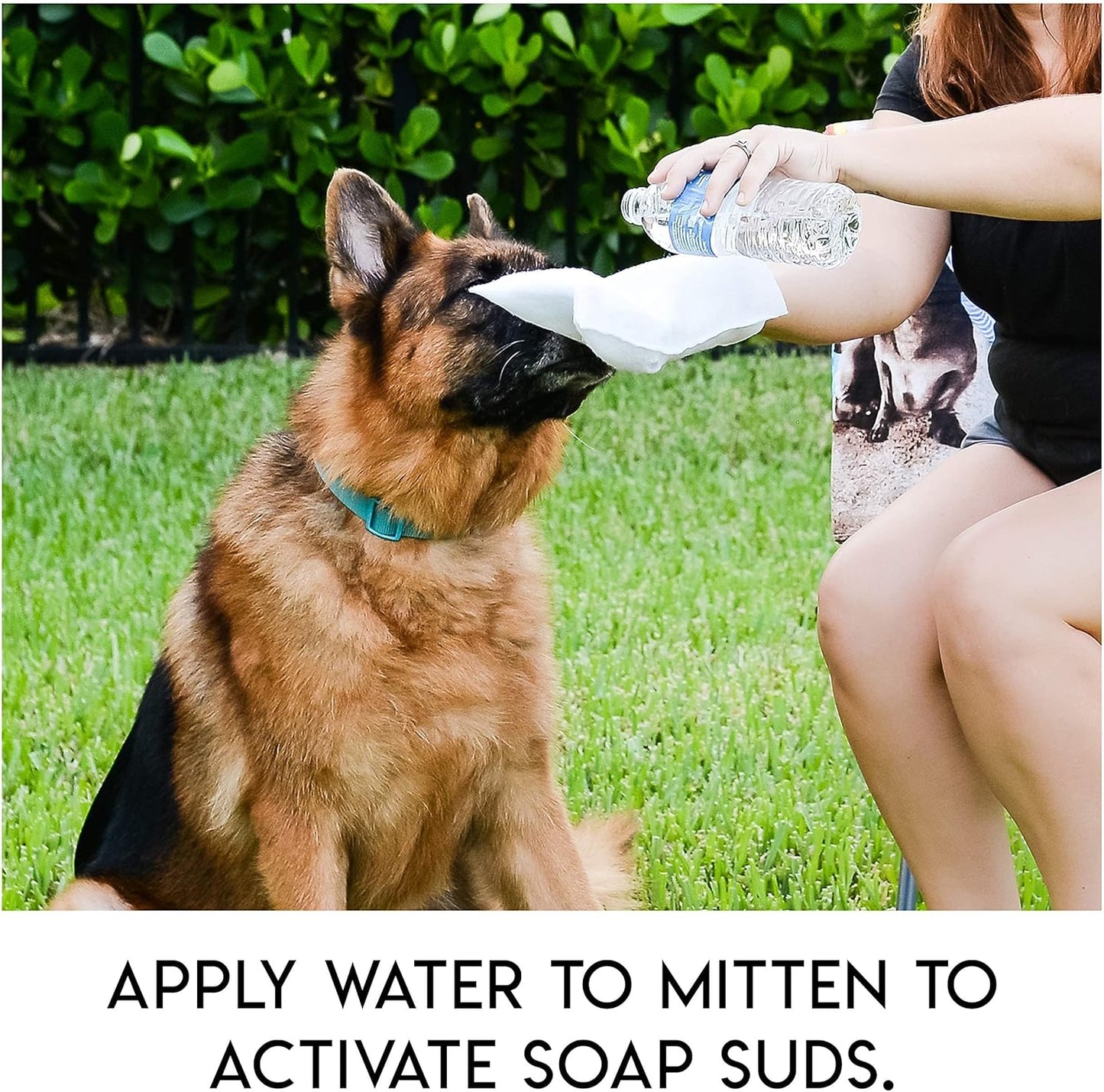 🔥Last Day Sale 49% OFF🔥Rinse-Free Dog Shampoo Mitts – Hypoallergenic Pet Bath Wipes, 6 Packs