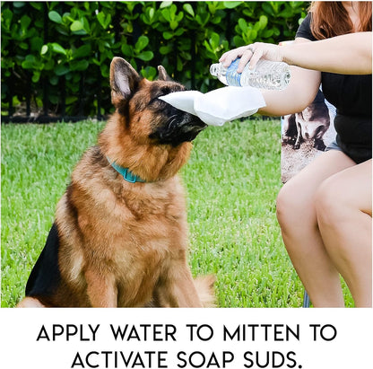 🔥Last Day Sale 49% OFF🔥Rinse-Free Dog Shampoo Mitts – Hypoallergenic Pet Bath Wipes, 6 Packs