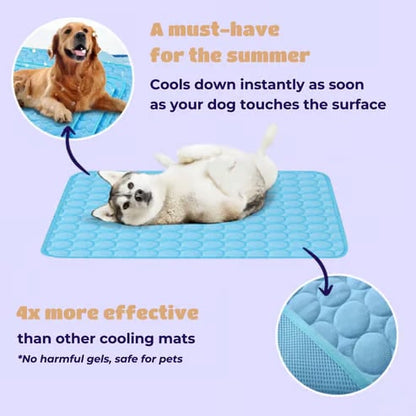 🔥Limited Time Promotion🧊Dog Cooling Mat (4x more effective)